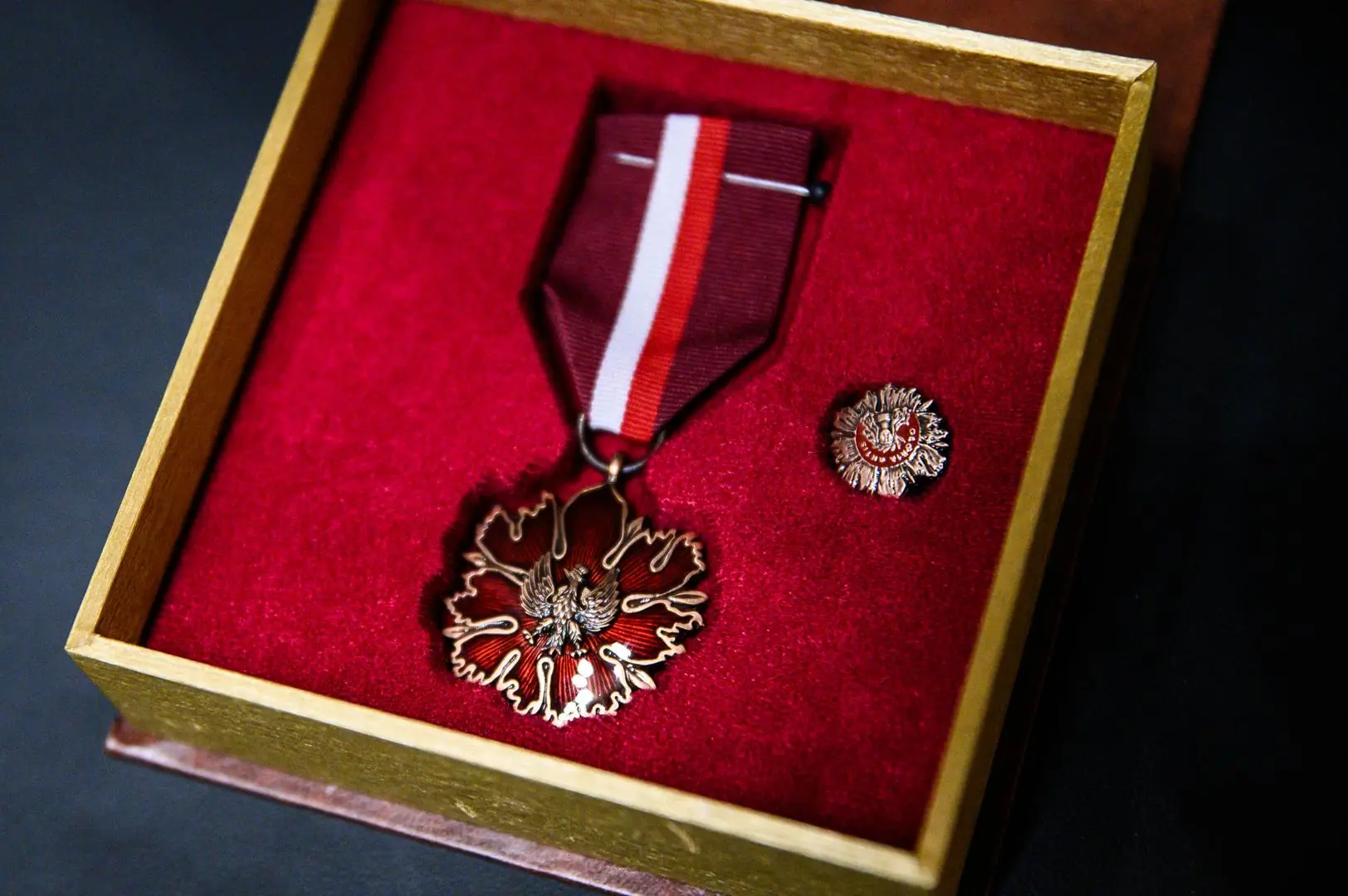 Otwarta drewniana szkatułka wyściełana czerwonym aksamitem, w której znajduje się brązowy medal Gloria Artis na czerwono‑białej wstędze oraz mała przypinka w tym samym stylu. Główna część medalu ma kształt stylizowanego kwiatu z metalicznym połyskiem, w środku znajduję się orzeł.
