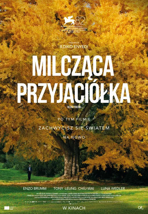 rozłożyste drzewo jesienią, ma żółte liście