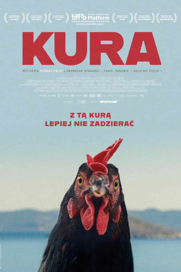 plakat. zbliżenie na głowę kury.